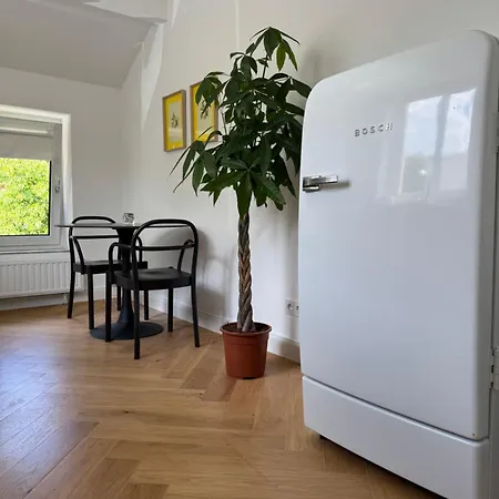 Charming Stadtvilla From 1895 Classic En Elegant Appartamento