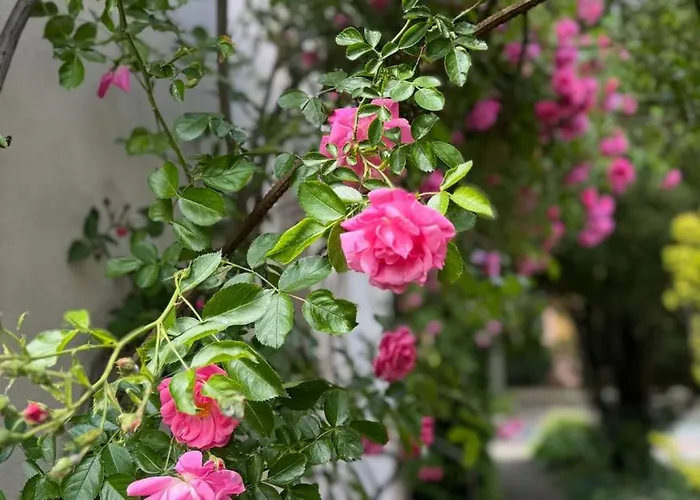 Charming Stadtvilla From 1895 Classic En Elegant 公寓 *